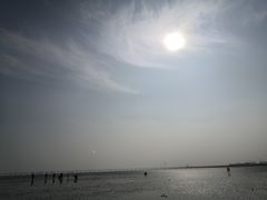 -南汇嘴观海公园