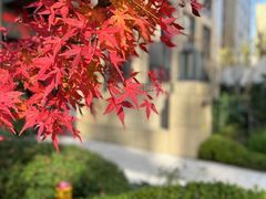 -江山万里