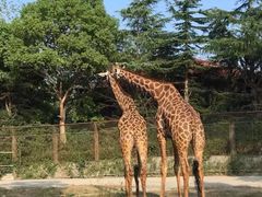 -石家庄市动物园