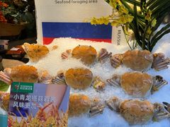 -亚马逊蒸汽活海鲜自助(LCM置汇旭辉广场店)