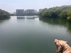 -杭州半山国家森林公园