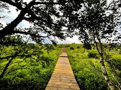 -白草畔自然风景区