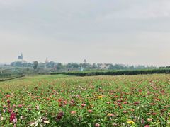 -花博汇(知音花月夜)