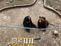 -无锡动物园·太湖欢乐园