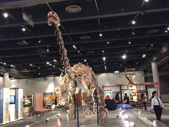 -香港科学馆