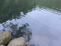 -九龙潭景区