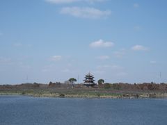 -上海海湾国家森林公园