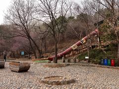 -北京西山国家森林公园