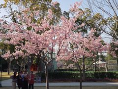 -新江湾城公园