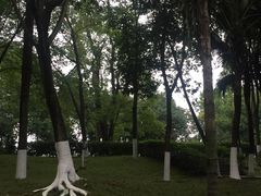 -百林公园-两江幸福广场