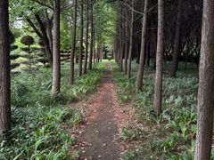-洛阳市隋唐城遗址植物园