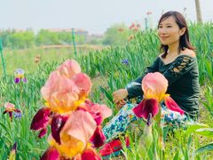 -东郊湿地公园