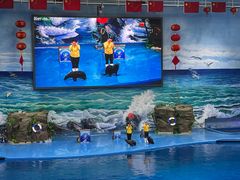 -多彩贵州城极地海洋世界