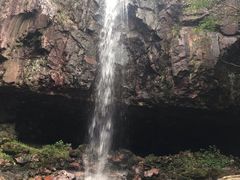 -四明山国家森林公园