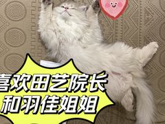 -美联众合动物医院·伴可分院·内科中心医院