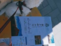 -苏木山森林公园