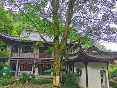 -十八棵（老龙井）御茶园(老龙井店)