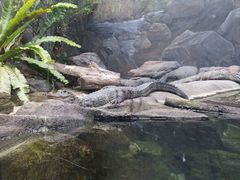 android_upload_pic-河川生态园