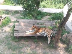 -石家庄市动物园