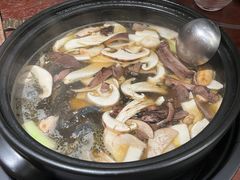 -滇野云南野生菌餐厅(陕西南路店)