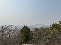-府君山公园