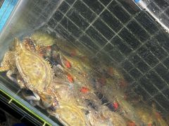 -宏运厨房·海鲜青岛菜·生日宴(城市阳台店)