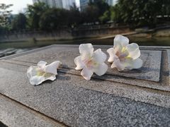 -红星桥(地铁站)