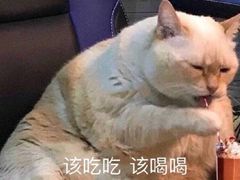 -XiaoJunGan Hotpot 钢管厂五区小郡肝火锅串串香