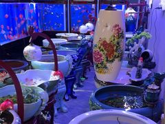 -长春青怡坊鲜花批发(青怡坊花鸟市场店)