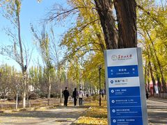 -黑龙江大学