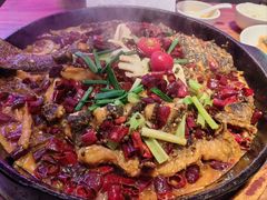 -老板恋上鱼(恒隆广场店)