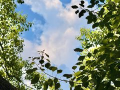 -湖北美术学院(昙华林校区)