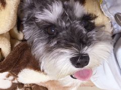 -宠颐生宠物医院·综合诊疗(先锋分院)