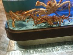 -阿伟海鲜楼·福建菜(延寿店)