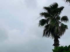 -三亚亚龙湾雅高铂尔曼别墅度假酒店