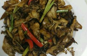 Lotus Mushroom