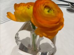 -藕巷金玉·珍品楚菜(光谷之星店)