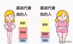 -香薇妮丝·定制减肥·身材管理
