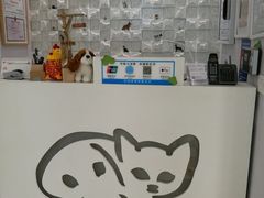 -荣耀金沙动物医院(清江西路店)