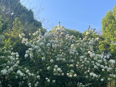 -杭州城北体育公园