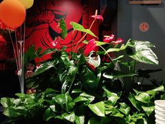 -管氏翅吧(地安门创始店)