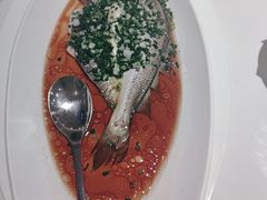 -醉辉皇上海之巅(上海中心大厦店)