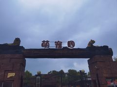 -如皋市龙游湖欢乐世界