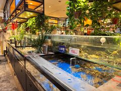 -亚马逊蒸汽活海鲜自助(LCM置汇旭辉广场店)