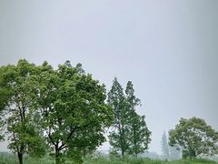 -良渚文化村