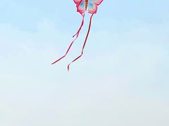 -君乐宝优致牧场