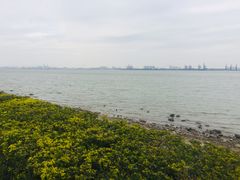 -海鸥岛