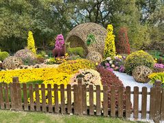 -上海共青森林公园