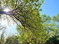 -元大都城垣遗址公园