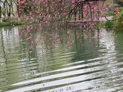 -茅家埠